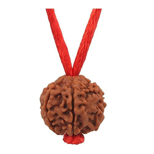 Natural Certified Nepali Rudraksha (Pack of 1)